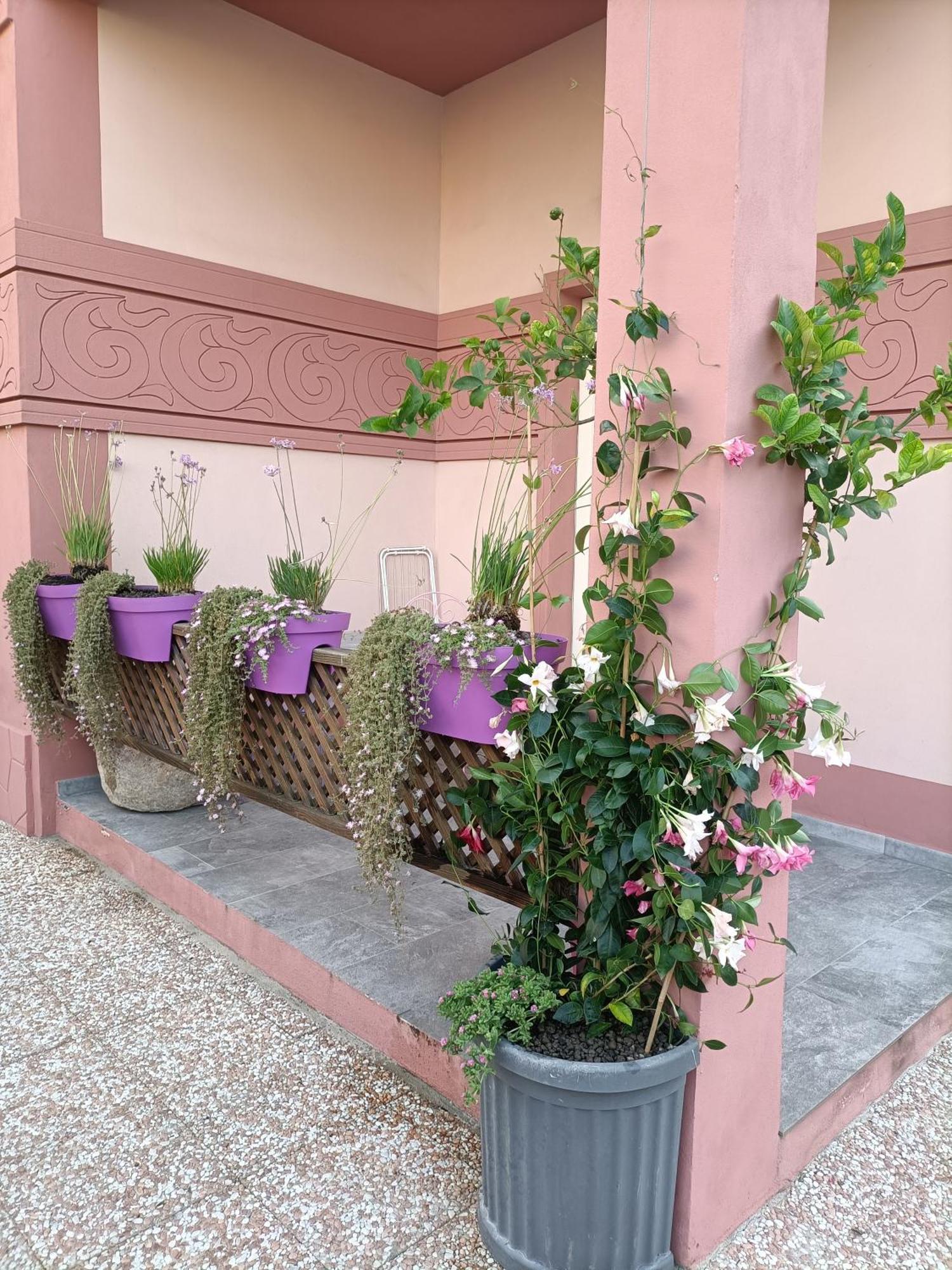 Maison Belle Époque&suites Oristano Habitación foto